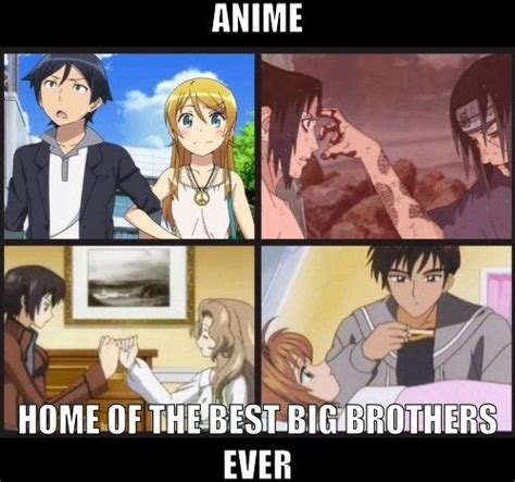 Does Your Big Brother Compare Anime Anime Memes Cartoon