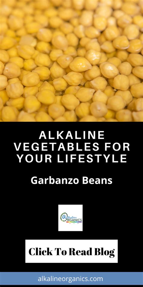 How To Live An Alkaline Lifestyle Alkaline Diet Recipes Diet And