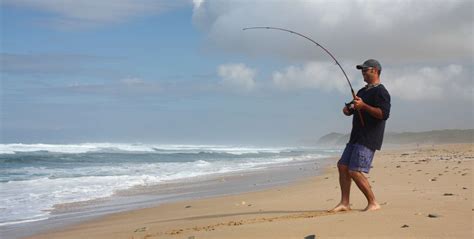 Best Surf Fishing Rods Of 2024 Wilderness Redefined