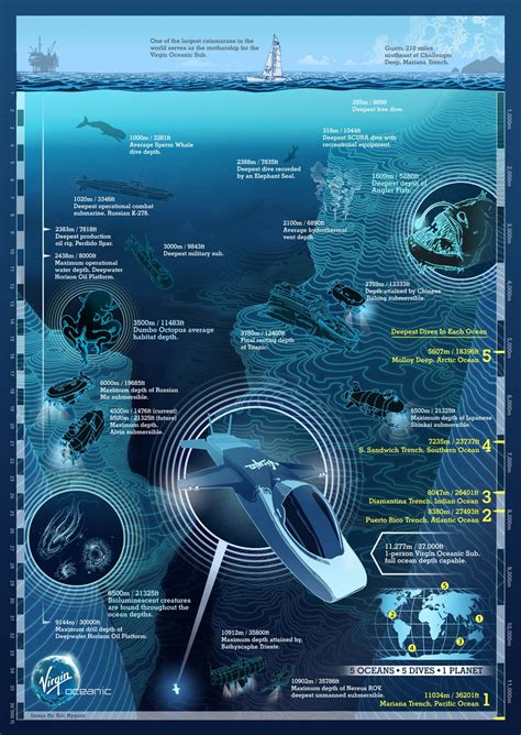 Map The Ocean Floor Infographic Richard Branson Octopus Marine