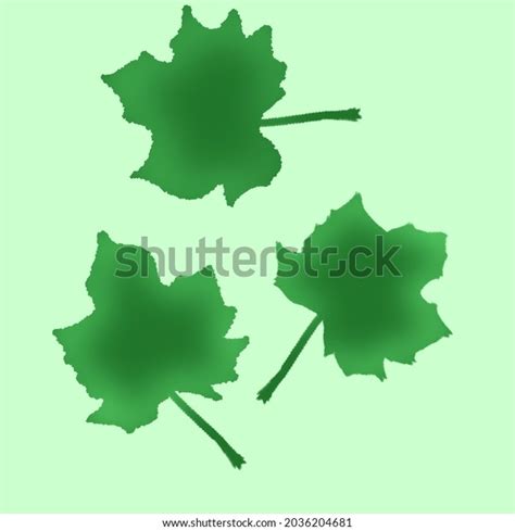 Three Maple Leaf Green Color Stock Illustration 2036204681 Shutterstock