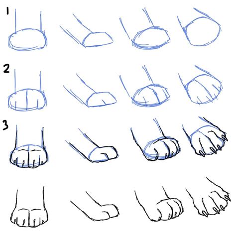 How To Draw Cat Paws Paw Drawing Furry Drawing Drawing Skills