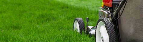 Decatur Ga Lawn Care And Maintenance Druid Hills Lawn Mowing Service