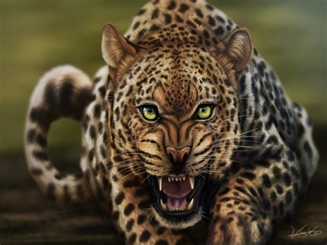 Leopard By Golphee On Deviantart