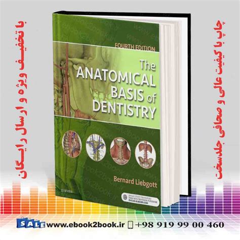 خرید کتاب The Anatomical Basis Of Dentistry 4th Edition فروشگاه کتاب