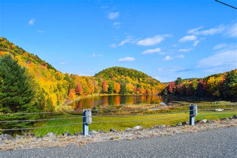 Fall Foliage In Connecticut Pure Beauty Fall Foliage Connecticut