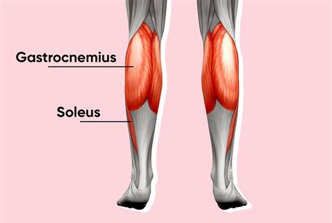 The Best Calf Exercises And Lower Body Mobility Drills Shape