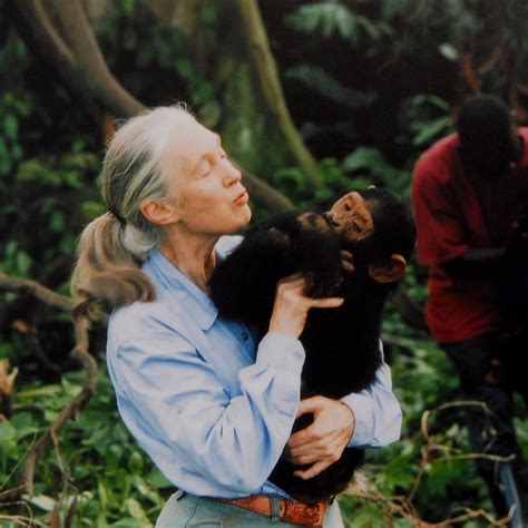 Dr goodall was in her twenties when she began her meticulous observation of chimp behaviour deep in africa. Blog Post 4, June 10th 2020 - Ironically Ethically