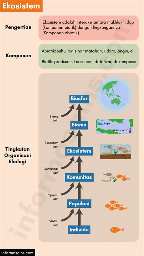 Ekosistem Pengertian Komponen Dan Interaksi Dalam Ekosistem Informasainsedu