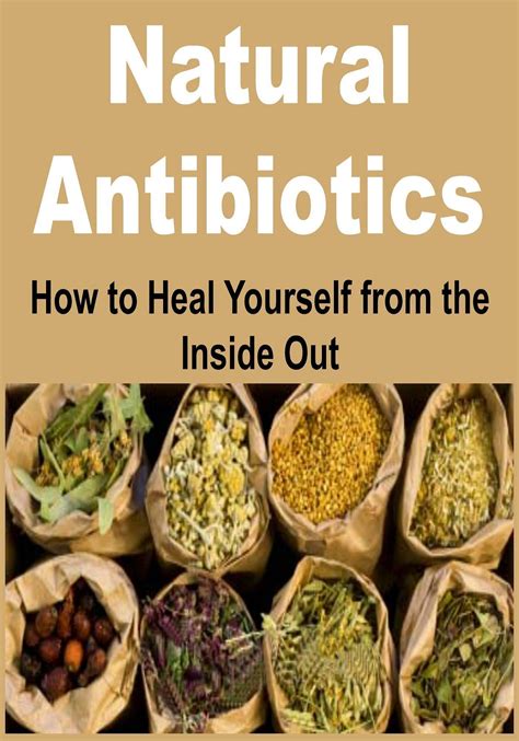 Natural Antibiotics How To Heal Yourself From The Inside Out Natural