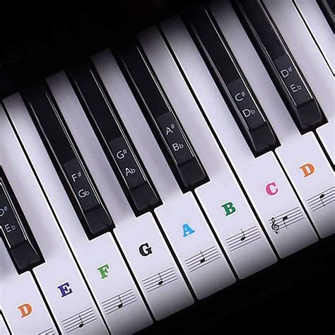 How To Read Piano Notes On Sheet Music For Beginners