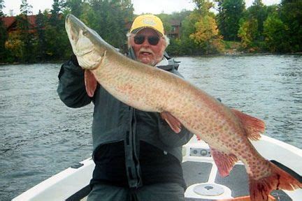 You'll have the option to fish on a variety of lakes and species. Jeff Woodruff Guide Service Muskie or Walleye Finest fishing guide on Leech Lake, BIG muskie www ...