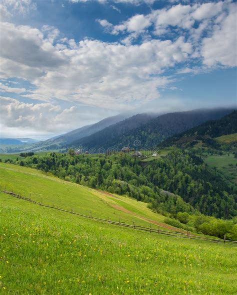 Mountain Landscape With Green Meadow And Pine Forest Away Stock Image