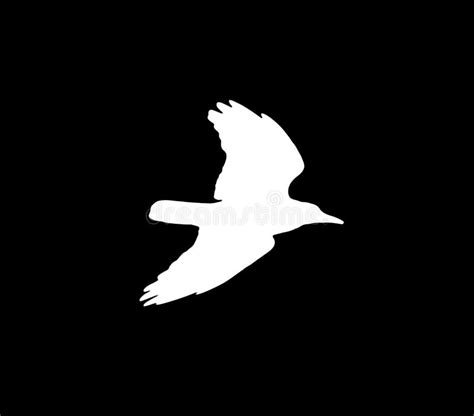 Silhouette Of A White Crow On A Black Background Stock Photo Image Of