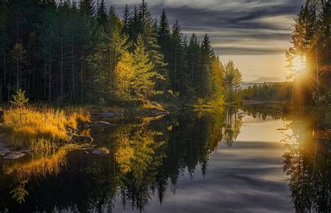 Hd Wallpaper Calm Waters Fall Finland Forest Landscape Nature