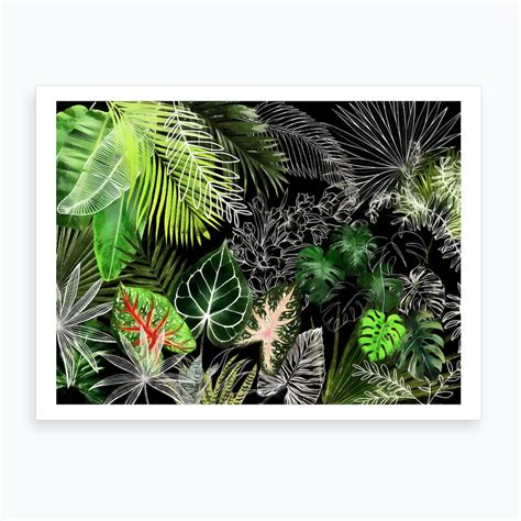 Tropical Foliage 4 Art Print By Amini54 Fy