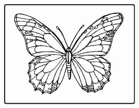Enjoy the cool air, and excitement of the very hungry caterpillar. Free Butterfly Outline Printable, Download Free Clip Art ...