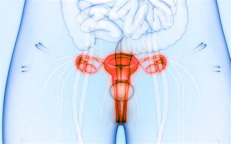 Cervical Cancer Symptoms Prevention And Treatment