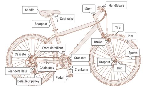 A Guide To Bike Parts And Names For Beginners Bikelvr