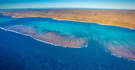 What Is The Difference Ningaloo Reef And Great Barrier Reef