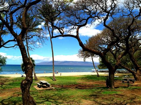 Beach Parklauniupoko Copy Maui Accommodations Guide