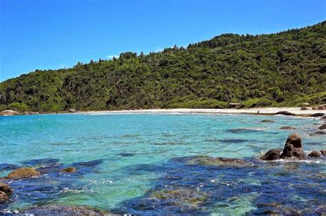 Segunda maior praia de governador celso ramos, a praia grande tem 1.200 metros de extensão e acesso via rodovia sc 410, distante 11 na parte mais rural de governador celso ramos, a cerca de 20 km do centro da cidade, a praia de caieira do norte, também conhecida apenas por praia da. Turismo em Santa Catarina: GOVERNADOR CELSO RAMOS