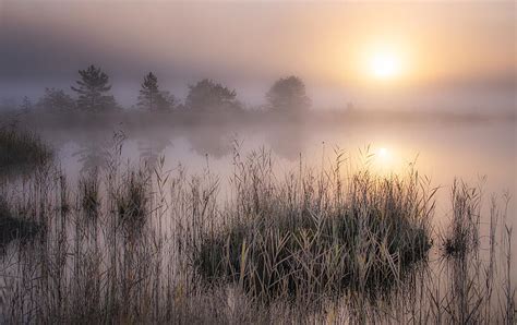 Cold Autumn Morning Photograph By Ulrike Eisenmann