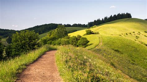 Wallpaper Nature Landscape Sky Clouds Trees Plants Forest Path