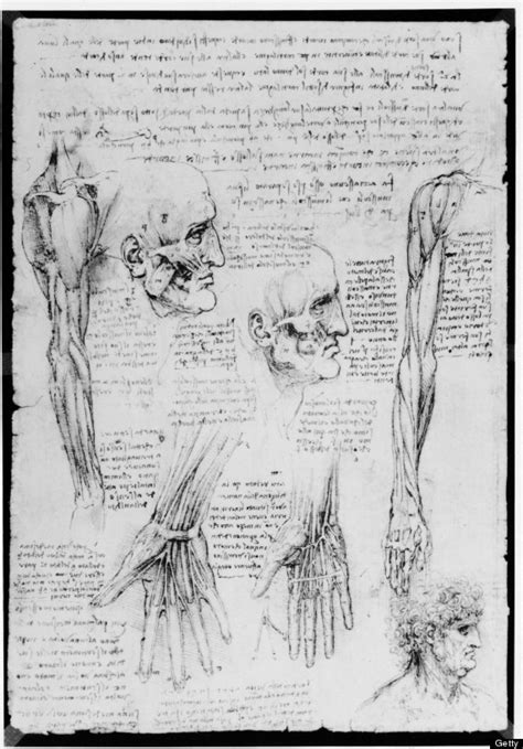 Leonardo Da Vinci Exhibition Shows Extraordinary Accuracy Of Anatomical