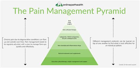 Understanding The Pain Management Pyramid Onlinepethealth