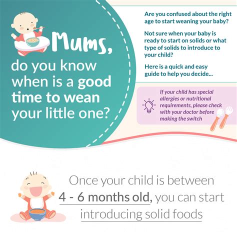 Top Baby Weaning Tips Wean Your Baby With 4 Basic Tips