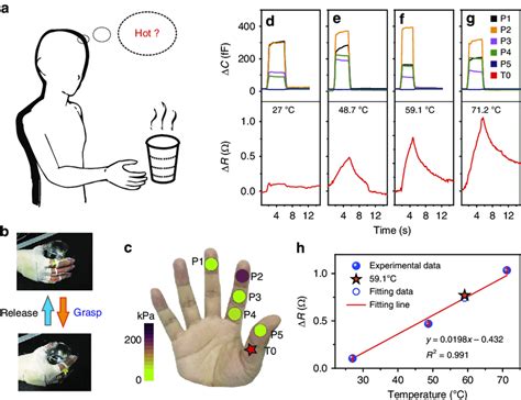 The Intelligent Prosthetic Hand With Personalized Scmn Configuration A