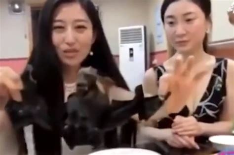 Chinese Travel Presenter Apologises For Eating Bat Amid Coronavirus