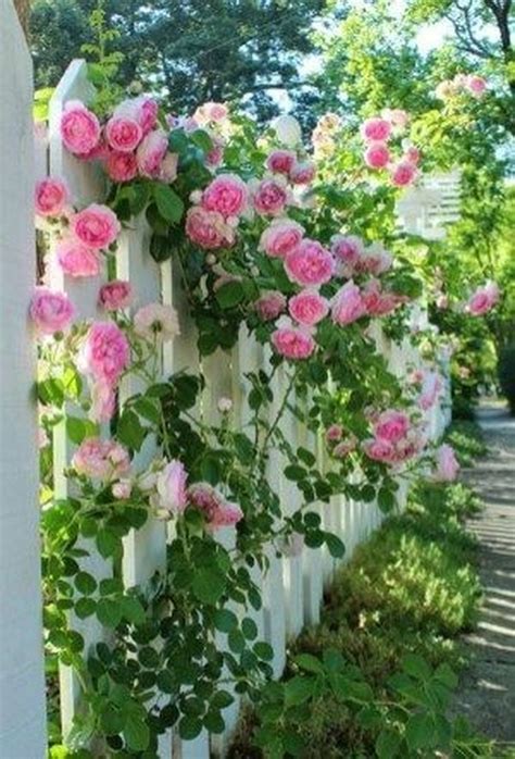Beautiful Gardens Pink Garden Flower