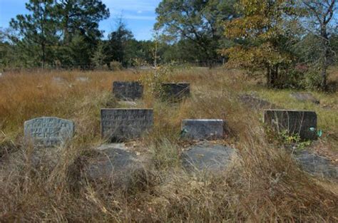 Tanner Cemetery Ben Hill County Vanishing Georgia Photographs By