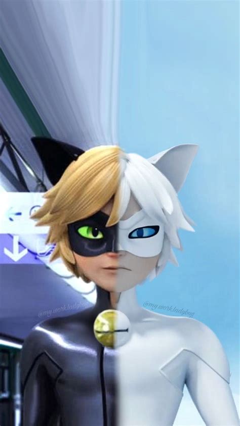 If you're looking for the best miraculous tales of ladybug cat noir wallpapers then wallpapertag is the place to be. Noir/Blanc | Miraculous ladybug comic, Miraculous ladybug ...