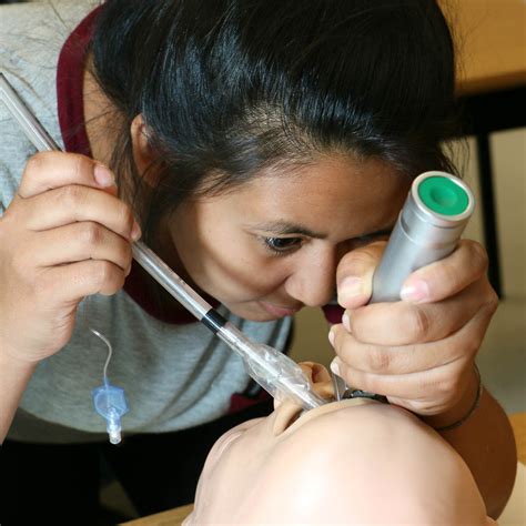 We also saw a flute made of bamboo, and castanets made of two tiny calabashes joined together with about five inches of opensubtitles2018.v3. Indigenous science camp: respiratory therapy - TRU Newsroom