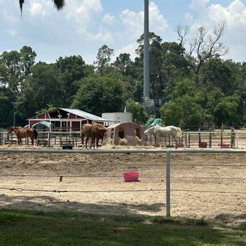 Cypress Trails Ranch
