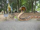 Snake Dinosaur Fossil Photos