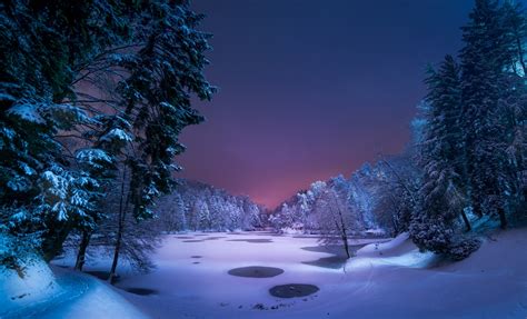 Night Landscape Snow Ice Winter Trees Nature Pond Forest Blue