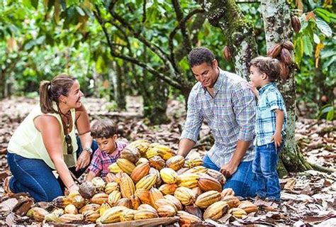 Tour La Ruta Del Cacao En Chazuta Aventuras Pe