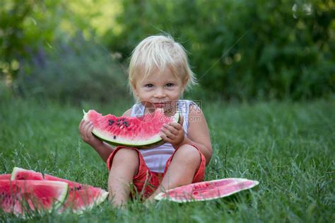 可爱的幼儿小男孩在花园里吃成熟的西瓜高清图片下载 正版图片506180083 摄图网