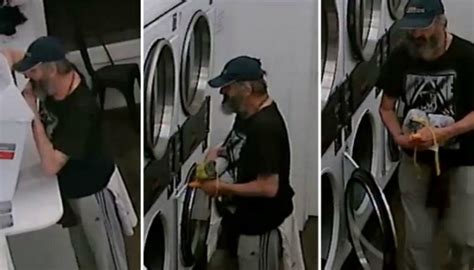 Underwear Thief Caught On Camera Stealing From Laundromat Newshub