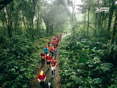 Cuc Phuong Jungle Paths 2023 By Trieu Viet Linh Photographer Team