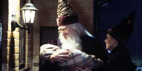 10 Ways Dumbledore Prepared For Harry Potters Final Battle