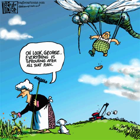 Mosquito And Chikungunya Cartoon Humor 3 Funny Mosquito Funny