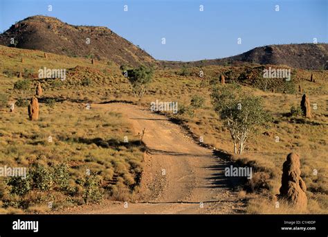 Western Plateau Australia Hi Res Stock Photography And Images Alamy