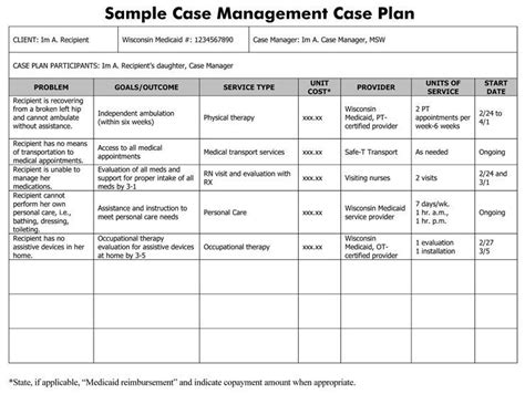 20 Case Management Care Plan Template