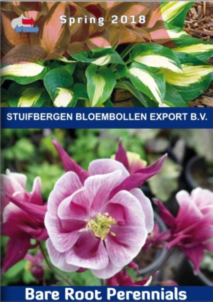 Discover the best things to do & events in lees summit. Stuifbergen Flowerbulb export is a wholesale supplier of ...
