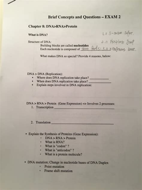 Chapter 8 from dna to proteins dna base: Solved: Brief Concepts And Questions EXAM 2 Chapter 8: DNA... | Chegg.com